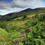 A landscape in the Lake District looking towards Little Man, the peak just before Skiddaw near Keswick.