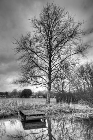 Walking along the River Itchen in Winchester