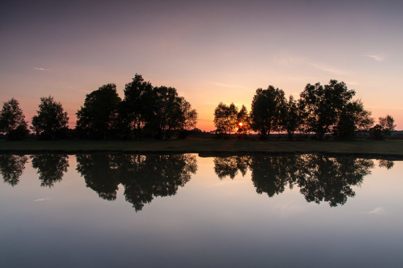 Sunset Symmetry