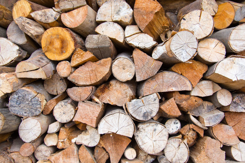 Woodpile Woodpile Photograph by Tim Jackson