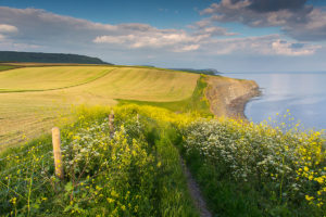 South West Coast to Kingston