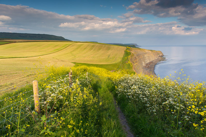 South West Coast to Kingston