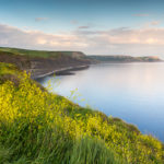 Walk from Kingston to Kimmeridge Tranquility Bay Photograph by Tim Jackson