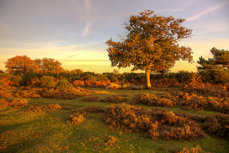 Ashley Walk Bombing Range at Sunset