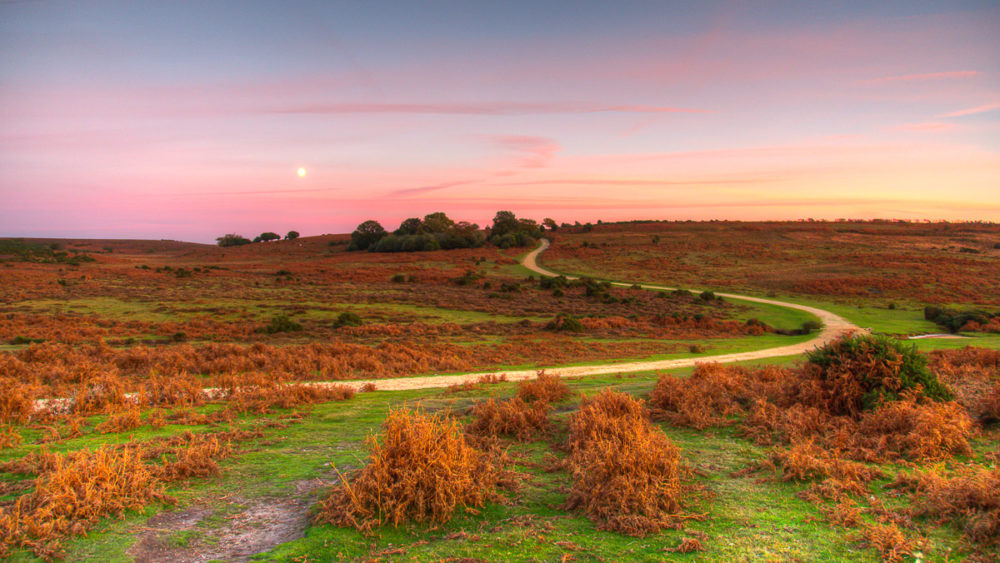 Ashley Walk Bombing Range, New Forest Ashley Walk Sunset Photograph by Tim Jackson