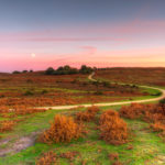 Ashley Walk Bombing Range, New Forest Ashley Walk Sunset Photograph by Tim Jackson