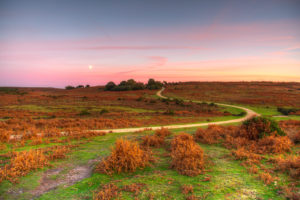 Ashley Walk Sunset