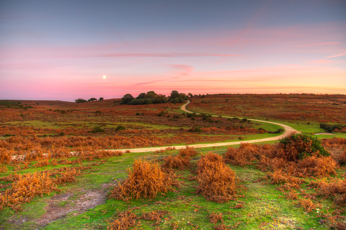 Ashley Walk Bombing Range, New Forest Ashley Walk Sunset Photograph by Tim Jackson