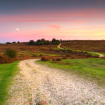 Ashley Walk Bombing Range, New Forest Ashley Walk at Dusk Photograph by Tim Jackson