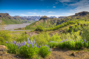 Thorsmork in Summer