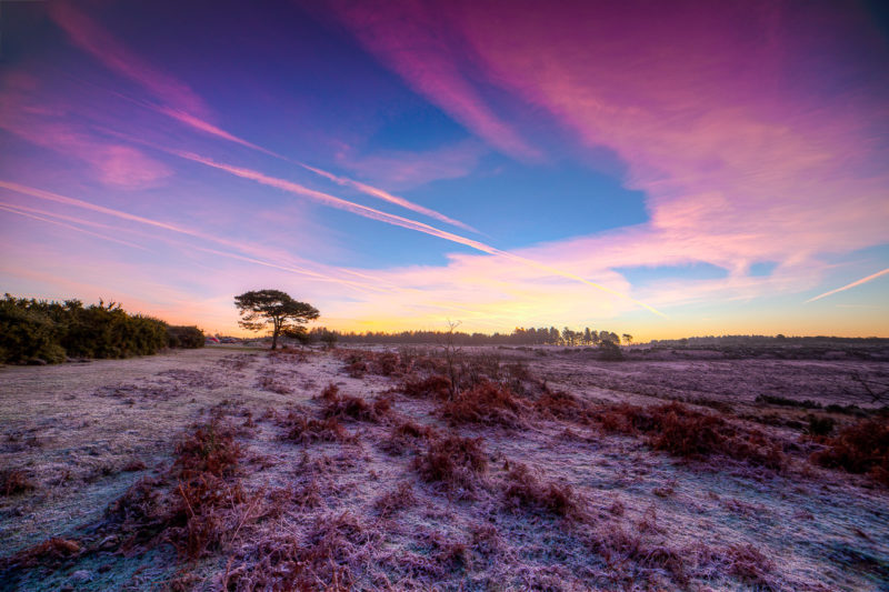 Samyang 14mm f2.8 for landscape photography. Bratley View New Forest Photograph by Tim Jackson