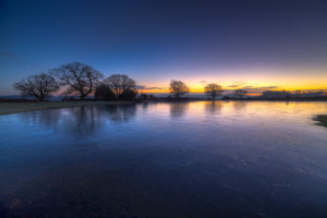 Mogshade Pond New Forest Dawn