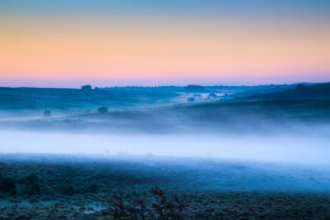 Misty Morning New Forest