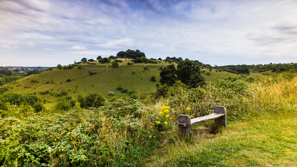 St Catherine's Hill Winchester