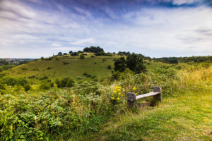 St Catherine's Hill Winchester