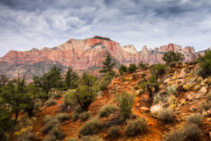 US West Coast Zion National Park Watchman Trail Photograph by Tim Jackson