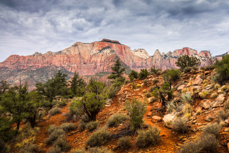 Zion National Park Watchman Trail Zion National Park Watchman Trail Photograph by Tim Jackson