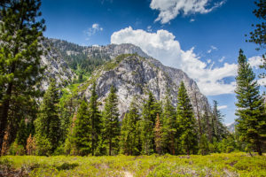 US West Coast Bubbs Creek Kings Canyon Photograph by Tim Jackson