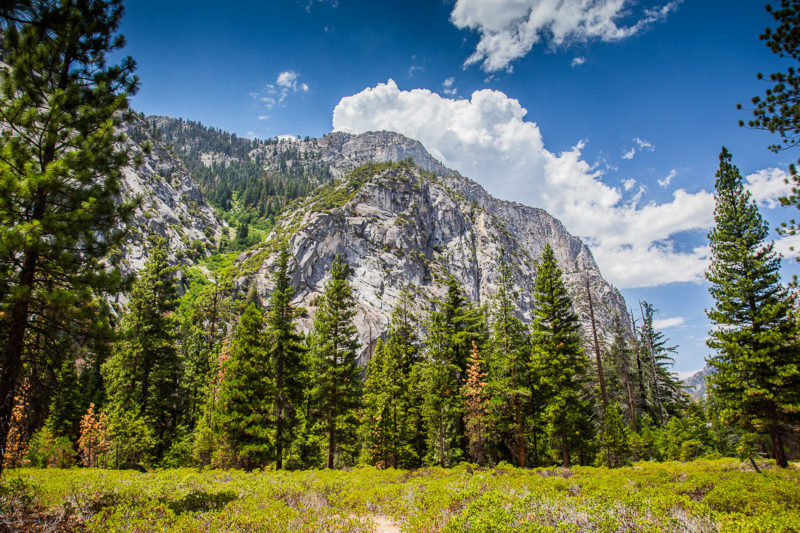 Bubbs Creek Kings Canyon