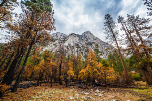 US West Coast Buck Peak Kings Canyon Photograph by Tim Jackson