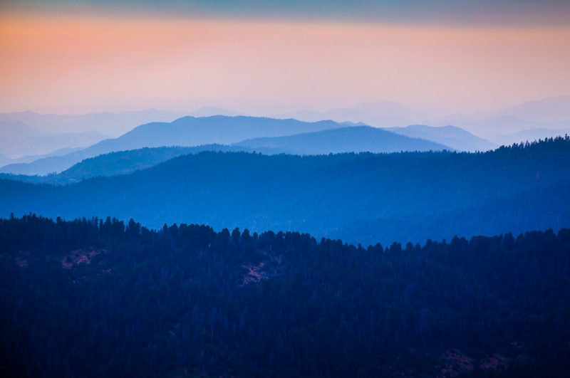 North America Wild Fire Season