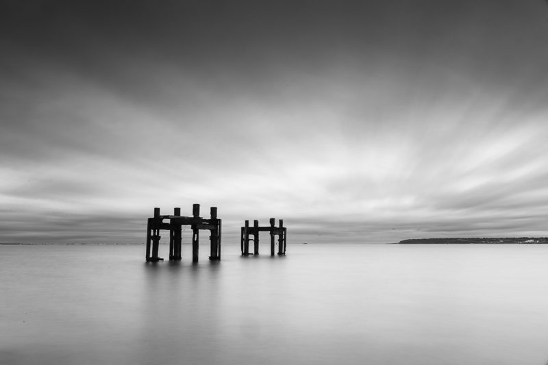 Lepe Dolphins Lepe Dolphins Photograph by Tim Jackson