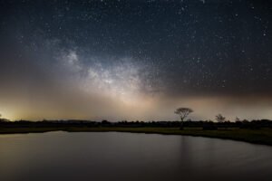 Milky Way New Forest
